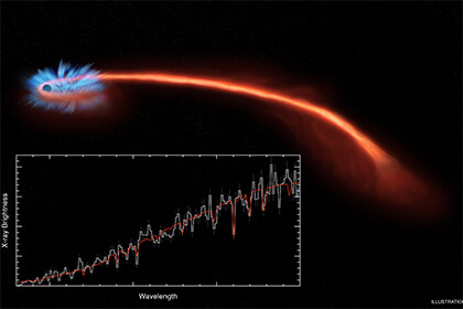 Чёрная дыра затягивает звезду. Фото: НАСА
