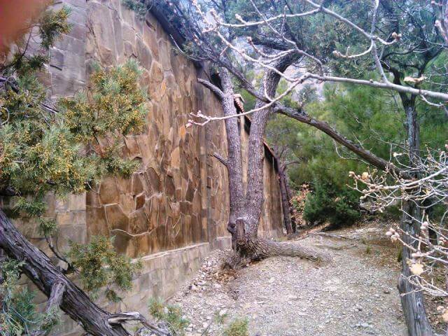 Забор. Фото: uapress.info