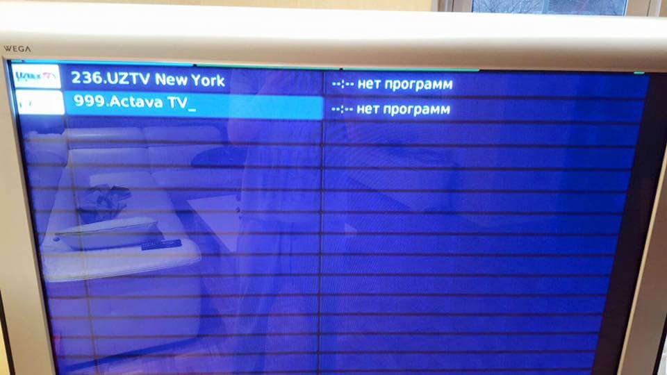 Провайдер перестал работать во вторник. Фото: Facebook.com/Yekaterina Ryumina
