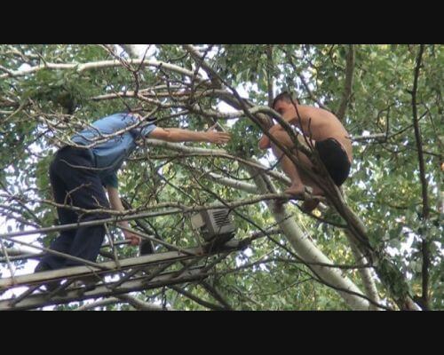 Фото: news.tut.by