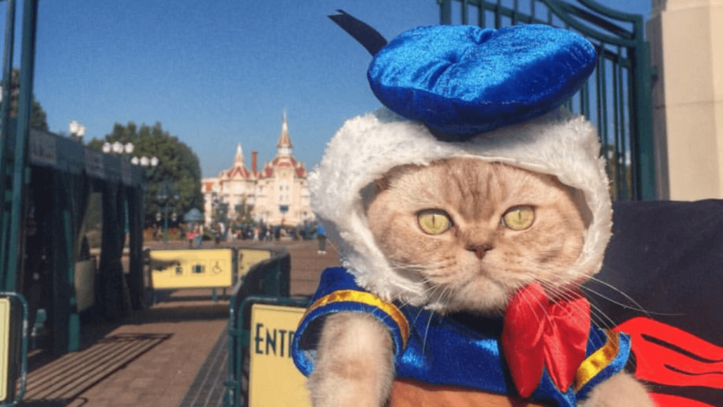 Busty arman ayollar porno video