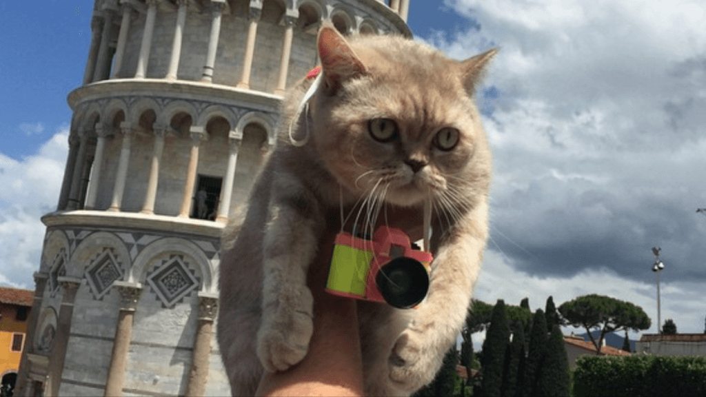 Sportchi ayollar külotlari porno rasmlar