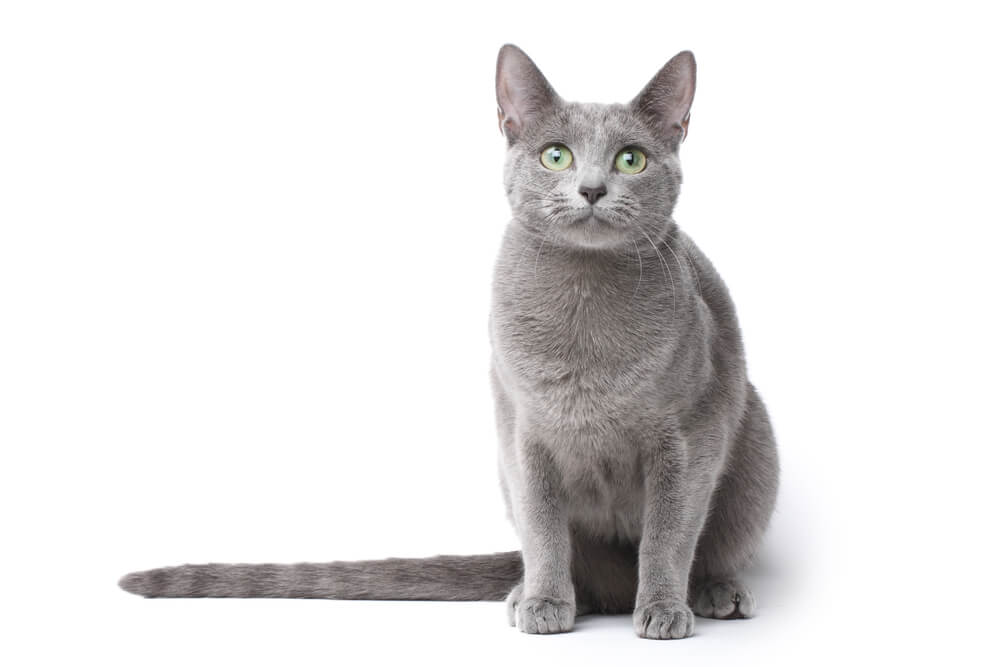 Секс қыздар порно