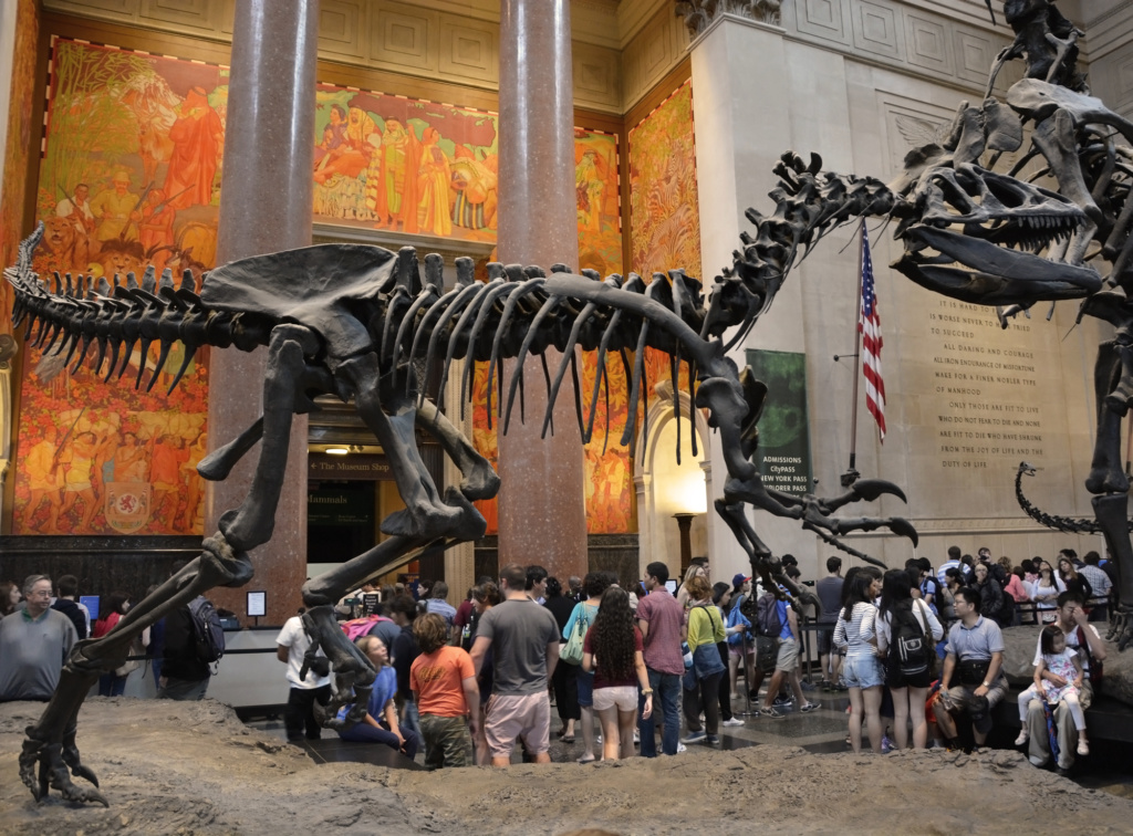 The famous Museum of Natural History in New York. Photo: depositphotos.com