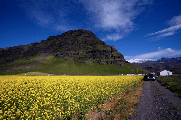 Исландия Фото: Сергей Лойко