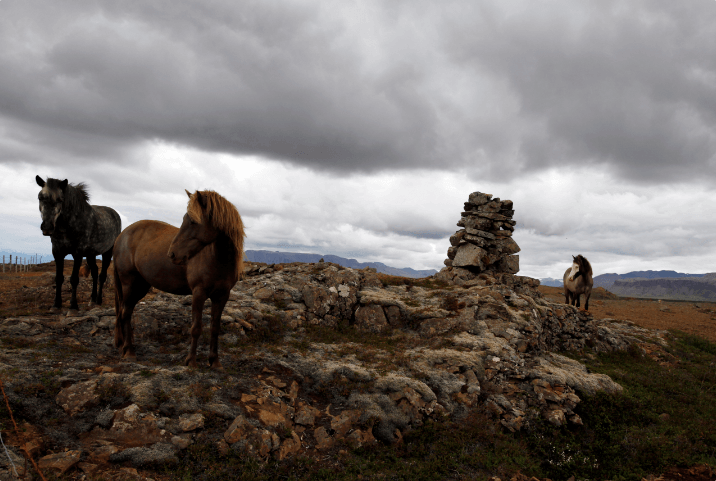 Iceland Photo: Sergey Loiko
