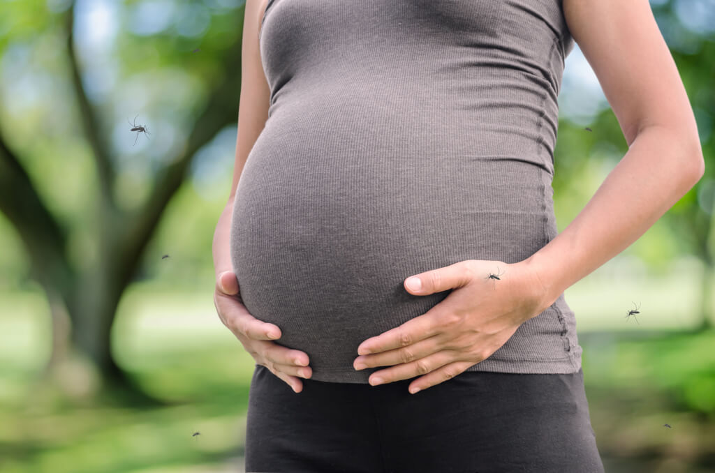 Despite the Zika virus, pregnant women are not afraid to come to give birth in Miami. Photo: depositphotos.com