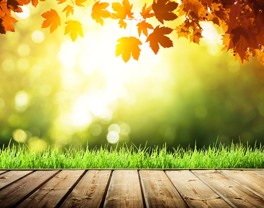 Фото: Depositphotos