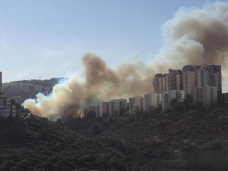 Фото: Facebook/Yuliya Mazilova