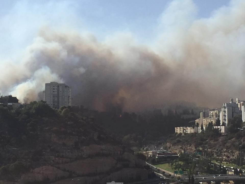 Фото: Facebook/Yuliya Mazilova