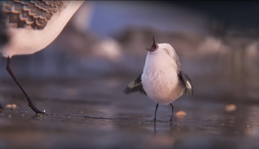 Кадр Видео YouTube