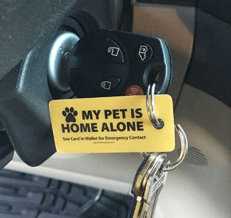 Screen Shot 2017-03-10 at 11.22.36 AM