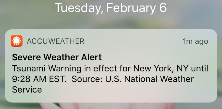Жителям Нью-Йорка разослали уведомления о приближающемся цунами