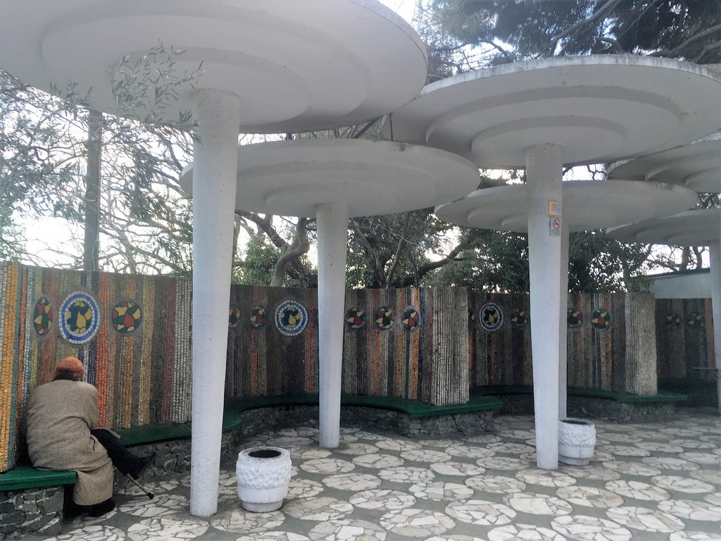 Фото Ольги Дарфи 