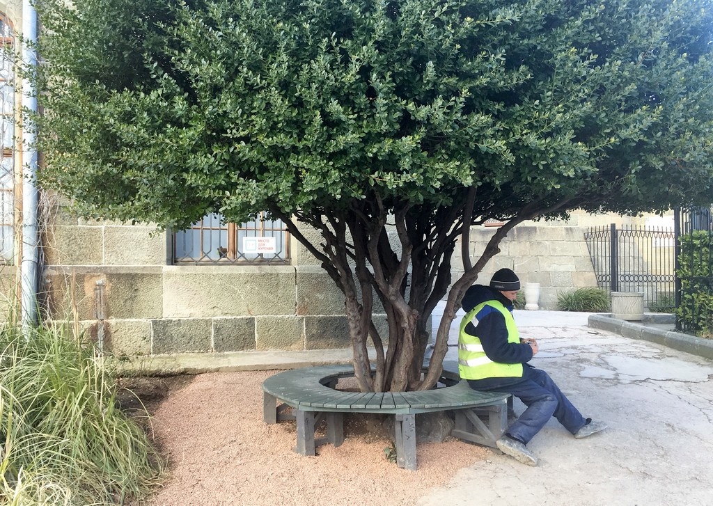 Фото Ольги Дарфи 