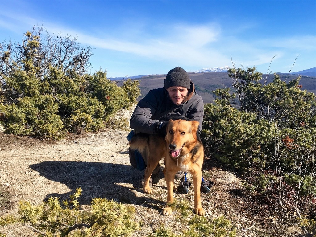 Фото Ольги Дарфи 