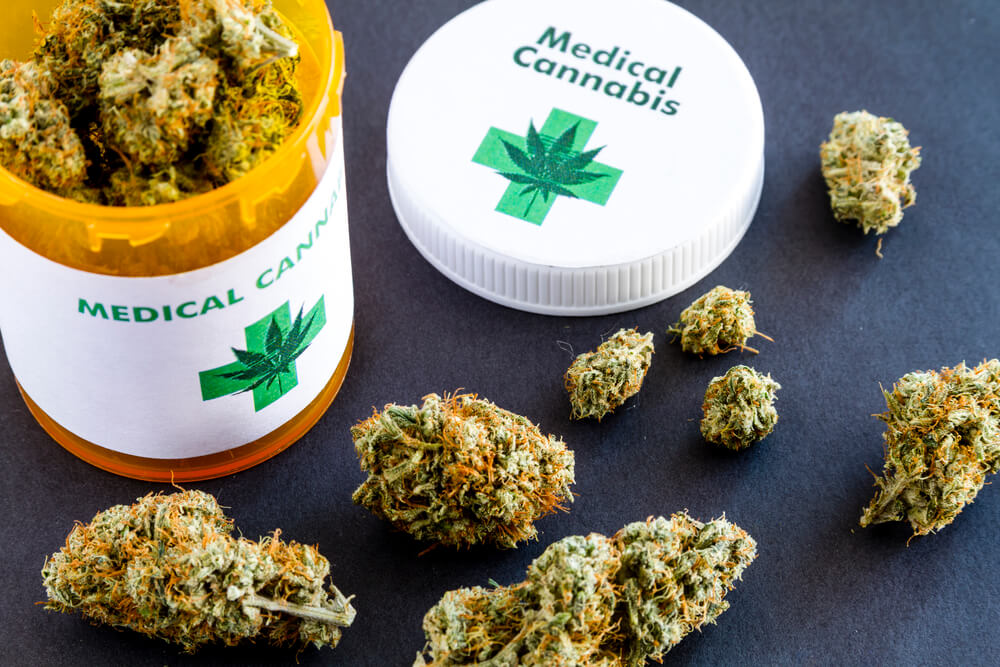Фото медицинская марихуана конопля как выглядит растение