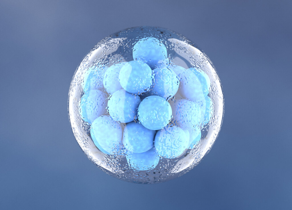 Новый научный прорыв: создан эмбрион без спермы и яйцеклетки!