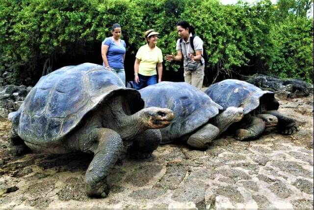 Yalangoch Iveta Prostezova