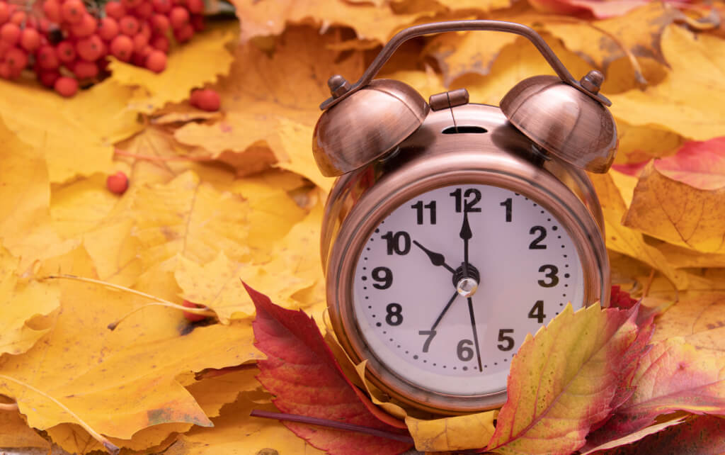 Перевод часов 2023. Часы осень. На часах осень. Старинные часы в листве. Осень часы картинки.